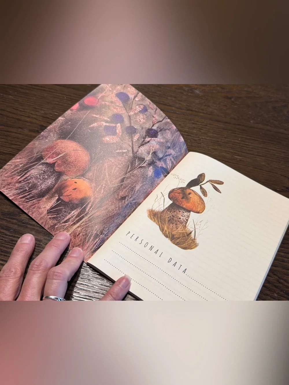 3 for $15 Bruno Visconti Soft Touch Mushrooms Watercolor Journal A5 NEW